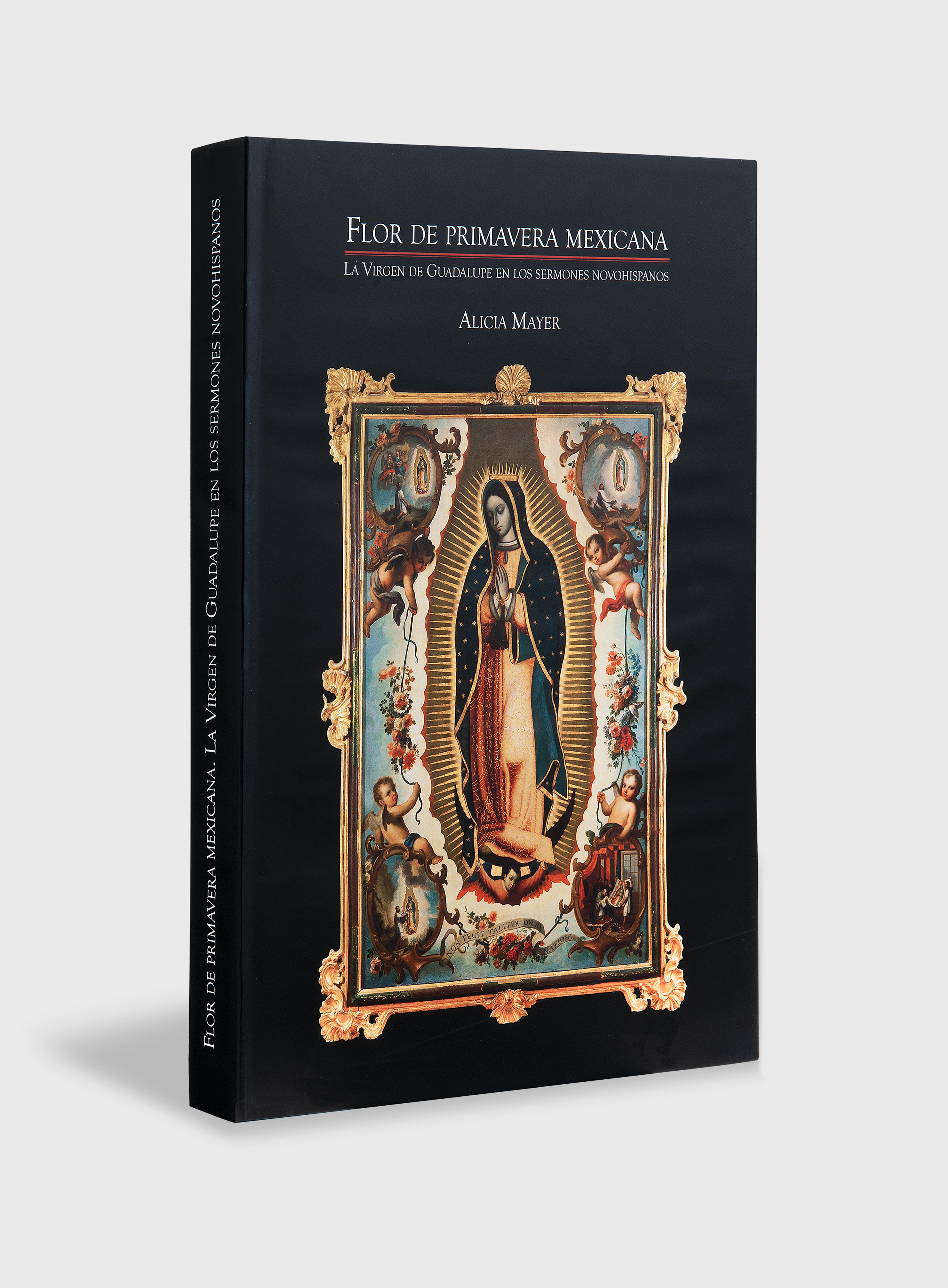 flor-de-primavera-mexicana-la-virgen-de-guadalupe-en-los-sermones-novohispanos-1